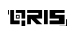 qris